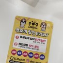 도그노리터 이미지