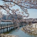 듀잇(DEW IT) 이미지