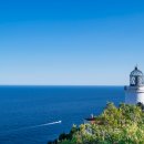 2025년 5월(넷째주) 성장반 훈련[종료] 이미지