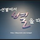 별 경매장