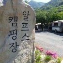 알프스캠핑장 이미지