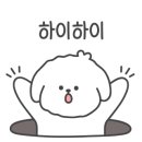 로히펫살롱 이미지