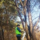 흑석동산성 이미지