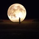 아침의 바다 이미지