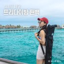 프리다이빙 롱핀 가방 추천 스네프 비행기 반입 기내수하물 후기