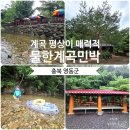 오기네민박 | [충북 영동]맑은 계곡 옆 평상 대여 가능한 '물한계곡 민박' 내돈내산 후기