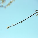 프라임캠핑장 이미지