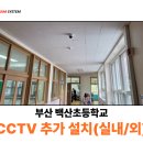 백산초등학교 티스토리