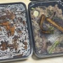 푸줏간고기도시락시흥 | 동탄 도시락 추천｜푸줏간 고기도시락 동탄 산척점 고기만 도시락 솔직 후기 (메뉴, 가격, 구성)