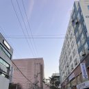 나도 성공했다! 성심당 말차시루 오픈런 후기
