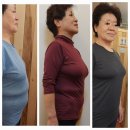 [공지] 굶지않는 다이어트 3일 디톡 온천 다이어트 무료체험 힐링캠프 드림파포르테 부산요트 힐링온천...