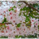 압해중학교 이미지