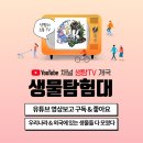 와이엔케이렙타일