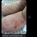 레더체인지 이미지