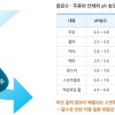 인체 pH 조절(알칼리성 체질, 산성 체질) 이미지