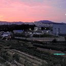 신갈주유소 티스토리
