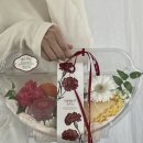 컵과일오아시스