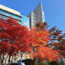 비자인행정사사무소 이미지