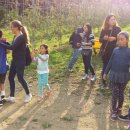 잭과 사과나무 이미지