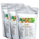 BREAK CALORIE | Nizen Probiotic Smoothie pack of 3