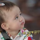 놀놀숯닭갈비