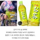빛나 여행 일본어 | 그녀는 런든말고 교토여행을 바래왔다(下)