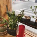 카페심플 이미지