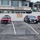 아띠멍멍 이미지