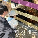 솟대광장 화장실 | 포천 가볼만한곳 두돌 아기랑 마이애니멀스토리 in 평강랜드 포토스팟부터 먹이주기 체험까지!