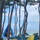 바다정원 속초카페거리 본점 이미지