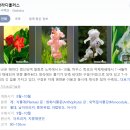 부림카센터 | 5박6일 추석연휴 몽골여행 『5-6일차』 (230929-231004)