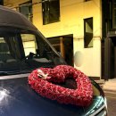 4189 | 행복했던 1년💗 신라호텔 다이너스티홀 본식 후기 (1) 디데이 아침 (꽃가마웨딩카 벤츠 스프린터/애브뉴...