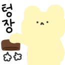 여자만 회 타운 이미지