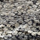 스트로마톨라이트 이미지