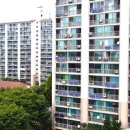 숲 태양광발전소 이미지