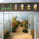홍천테마파크