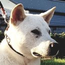 별마루 - 경주시 원지길12번길 56-12 | 별마루