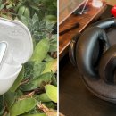 DESIGN ACC 2018 이미지