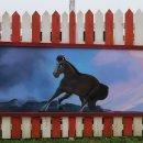 포니랜드 이미지