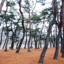 산포마을 이미지