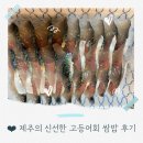 바다쌈밥 | 제주의 신선한 바다 고등어회쌈밥 먹어봤어? 만선바다 고등어회쌈밥 포장후기