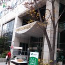 북구노인복지관 이미지