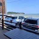 선재유일390 이미지