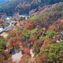 백아산자연휴양림 이미지