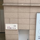 현대수입백화점 | 코엑스 B홀 2024 한국수입박람회 후기(feat. 현대백화점 무역센터점 주차)