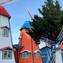 꿈꾸는풍차애견동반펜션 이미지