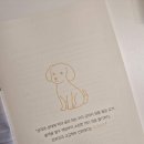 멍, 타임 이미지