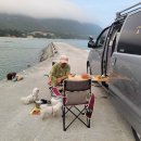 금장해수욕장 이미지