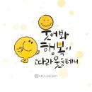 [건강정보] 물 대용으로 마실 수 있는 차 / 없는 차 이미지