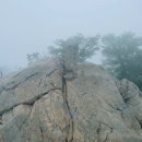 힐링산행과 문화탐방 수요반 | 계룡산 등산코스 추천 삼불봉 ~ 관음봉 우중산행 후기 및 최단코스, 주차, 맛집
